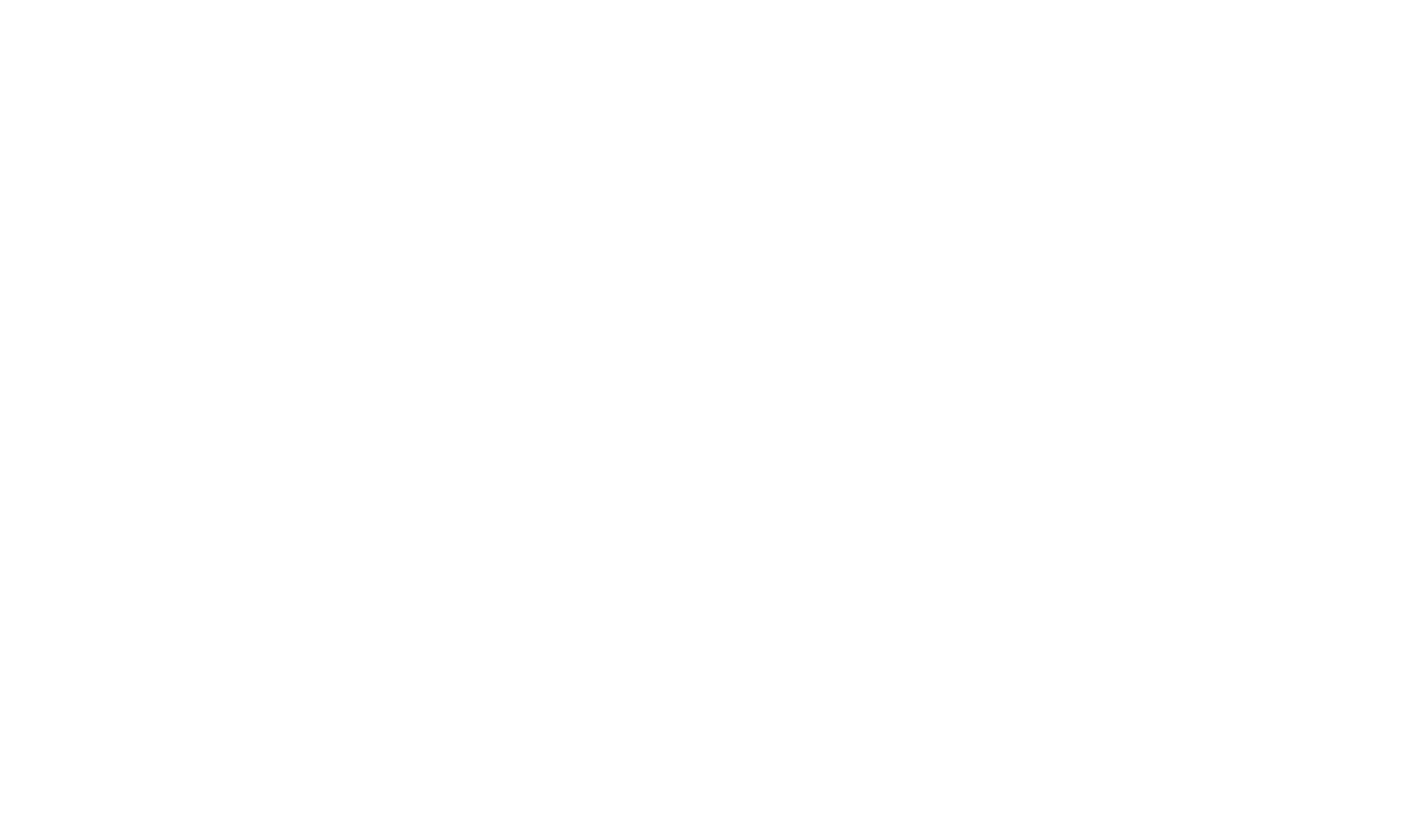 alensso logo white